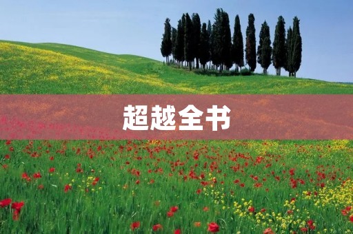 超越全书:领悟人生的智慧 超越全书:领悟人生的智慧