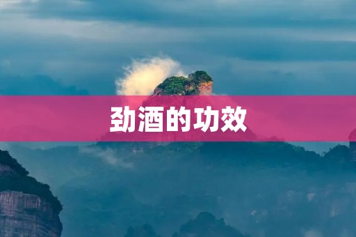 劲酒的功效：解读这款中国传统白酒的药用价值