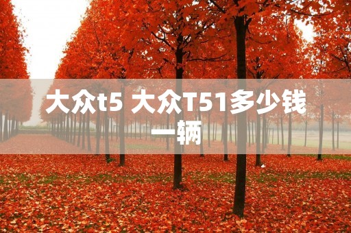 大众t5 大众T51多少钱一辆