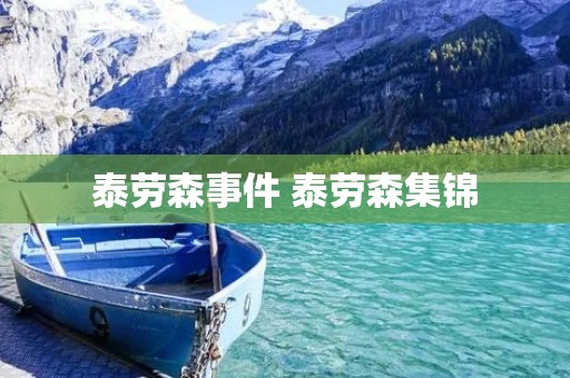 泰劳森事件 泰劳森集锦 泰劳森事件 泰劳森集锦