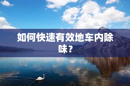 如何快速有效地车内除味? 如何快速有效地车内除味?