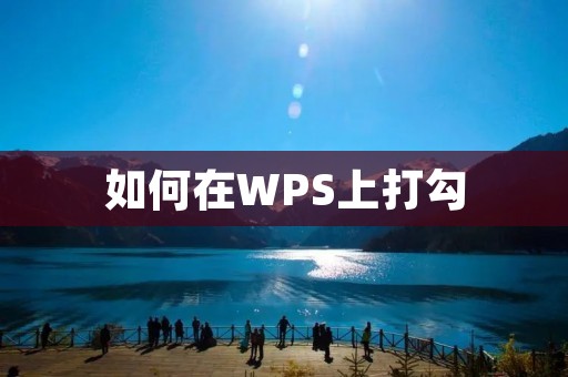 如何在WPS上打勾 如何在WPS上打勾
