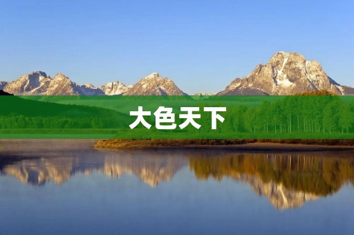 大色天下：色情行业的繁荣与困境
