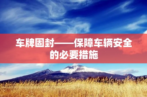 车牌固封——保障车辆安全的必要措施 车牌固封——保障车辆安全的必要措施