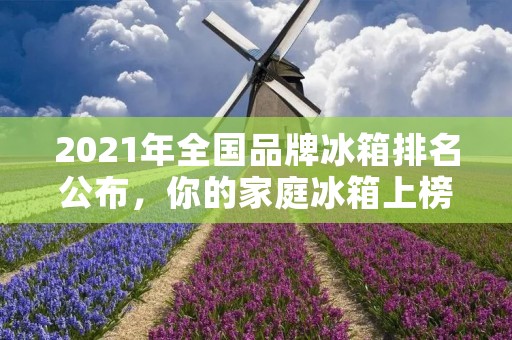 2021年全国品牌冰箱排名公布，你的家庭冰箱上榜了吗？