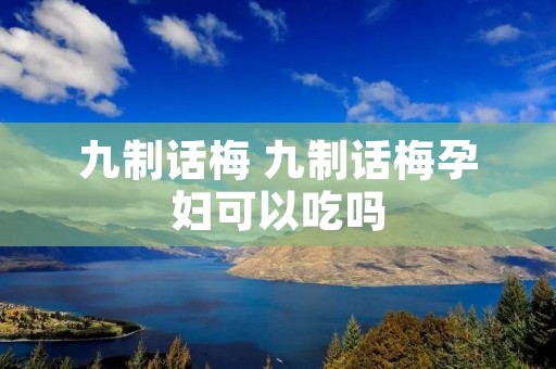 九制话梅 九制话梅孕妇可以吃吗