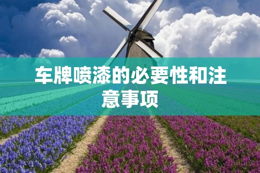 车牌喷漆的必要性和注意事项