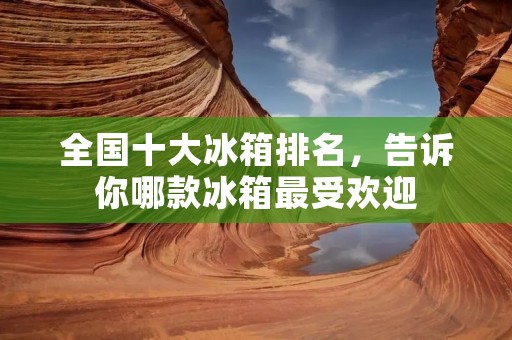 全国十大冰箱排名，告诉你哪款冰箱最受欢迎
