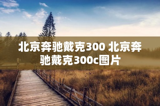 北京奔驰戴克300 北京奔驰戴克300c图片 北京奔驰戴克300 北京奔驰戴克300c图片