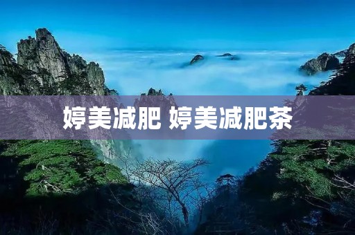 婷美减肥 婷美减肥茶