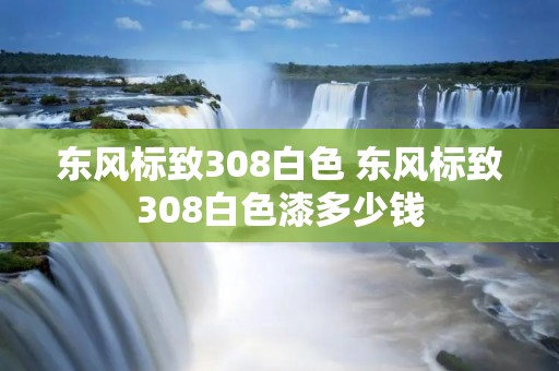 东风标致308白色 东风标致308白色漆多少钱