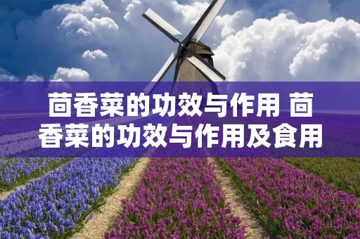 茴香菜的功效与作用 茴香菜的功效与作用及食用方法