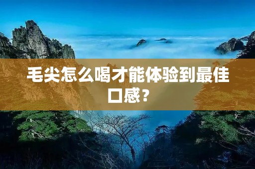 毛尖怎么喝才能体验到最佳口感? 毛尖怎么喝才能体验到最佳口感?