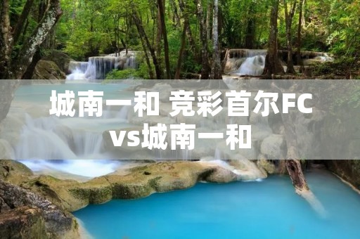 城南一和 竞彩首尔FCvs城南一和