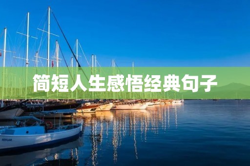 简短人生感悟经典句子 简短人生感悟经典句子