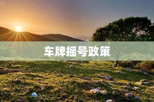 车牌摇号政策：限制车辆增长，保护环境
