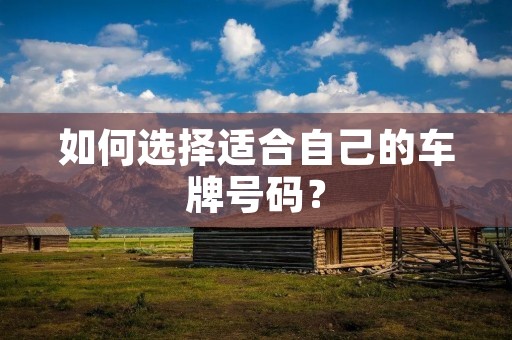 如何选择适合自己的车牌号码? 如何选择适合自己的车牌号码?
