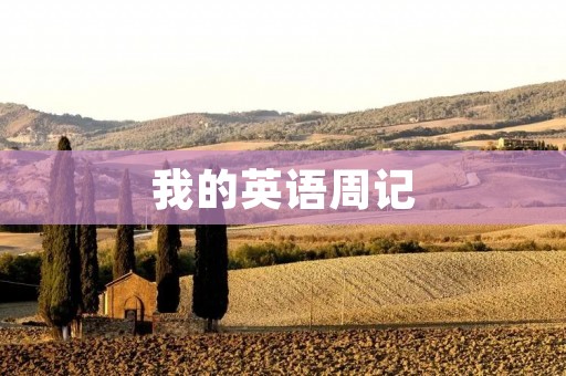 我的英语周记 我的英语周记