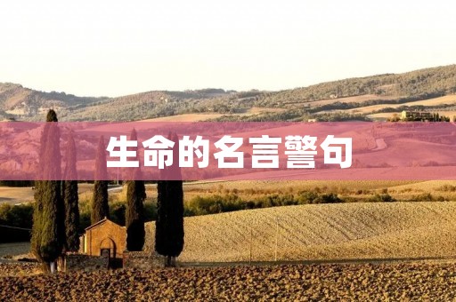 生命的名言警句 生命的名言警句