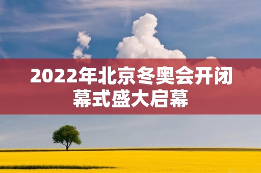 2022年北京冬奥会开闭幕式盛大启幕 2022年北京冬奥会开闭幕式盛大启幕