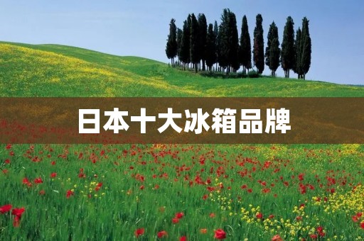 日本十大冰箱品牌