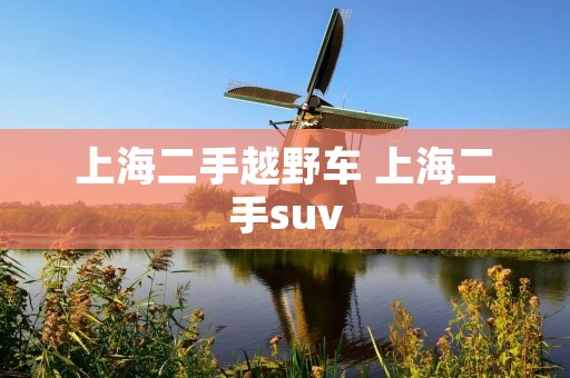 上海二手越野车 上海二手suv
