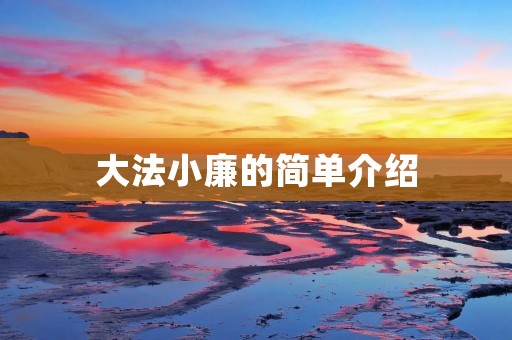 **小廉的简单介绍