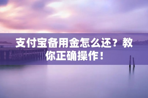 支付宝备用金怎么还？教你正确操作！
