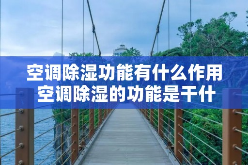 空调除湿功能有什么作用 空调除湿的功能是干什么的