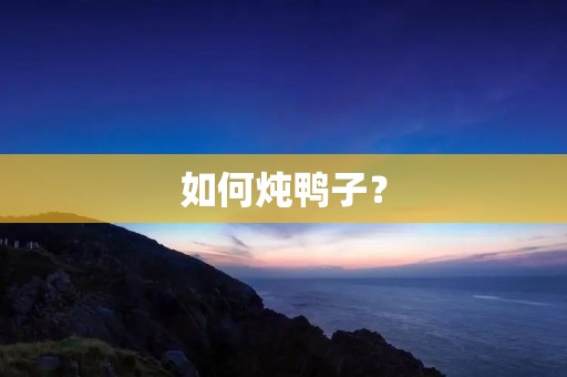 如何炖鸭子? 如何炖鸭子?