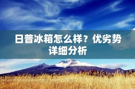 日普冰箱怎么样？优劣势详细分析