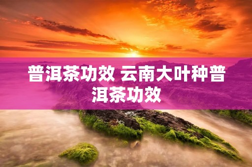普洱茶功效 云南大叶种普洱茶功效
