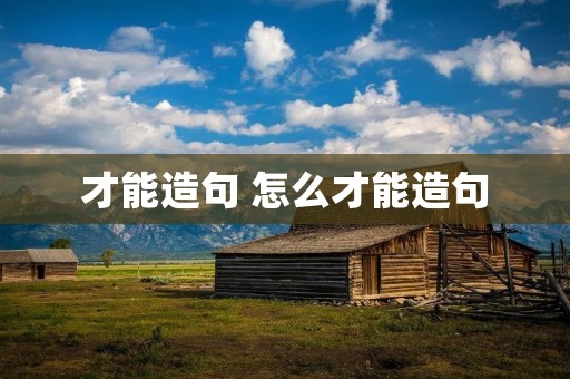 才能造句 怎么才能造句