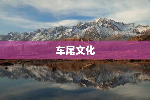 车尾文化:车辆尾部设计的文化魅力 车尾文化:车辆尾部设计的文化魅力