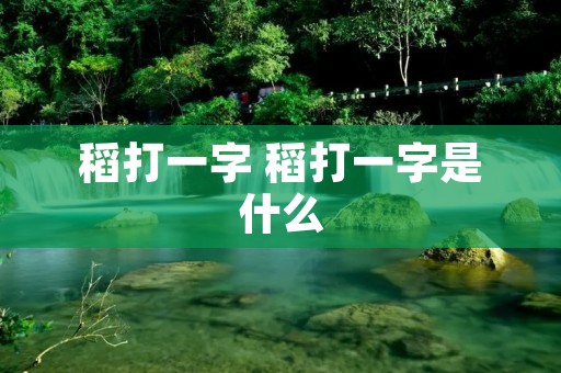 稻打一字 稻打一字是什么