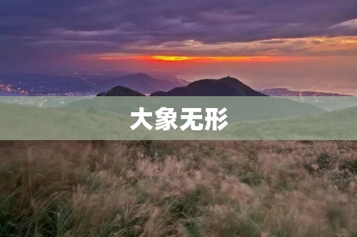 大象无形：探究知识产权的价值