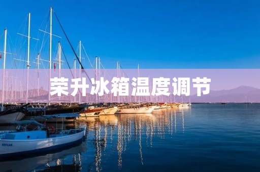 荣升冰箱温度调节：让你的食物更加美味