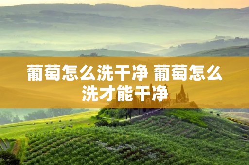 葡萄怎么洗干净 葡萄怎么洗才能干净