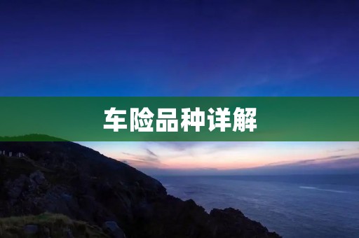 车险品种详解：了解不同险种，买到适合自己的保险