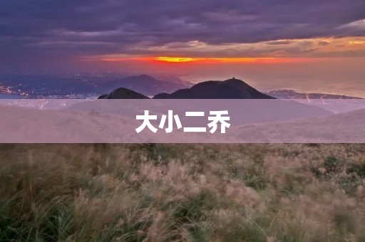 大小二乔:一对兄妹的惊人故事 大小二乔:一对兄妹的惊人故事