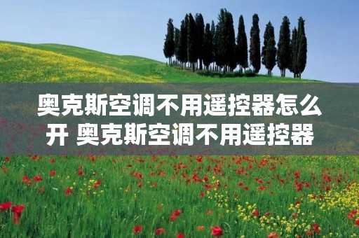 奥克斯空调不用遥控器怎么开 奥克斯空调不用遥控器怎么开机 奥克斯空调不用遥控器怎么开 奥克斯空调不用遥控器怎么开机