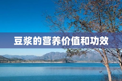 豆浆的营养价值和功效 豆浆的营养价值和功效