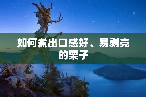 如何煮出口感好、易剥壳的栗子 如何煮出口感好、易剥壳的栗子
