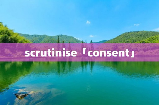 scrutinise「consent」 scrutinise「consent」