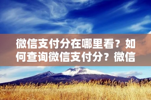 微信支付分在哪里看?如何查询微信支付分?微信支付分是什么?这些问题是许多人在使用微信支付时会遇到的问题。微信支付分是微信支付的一项功能,它可以根据用户的信用记录和资产状况,给予不同的支付额度和优惠。那么,微信支付分在哪里看呢?下面我们来详细解答。 微信支付分在哪里看?如何查询微信支付分?微信支付分是什么?这些问题是许多人在使用微信支付时会遇到的问题。微信支付分是微信支付的一项功能,它可以根据用户的信用记录和资产状况,给予不同的支付额度和优惠。那么,微信支付分在哪里看呢?下面我们来详细解答。
