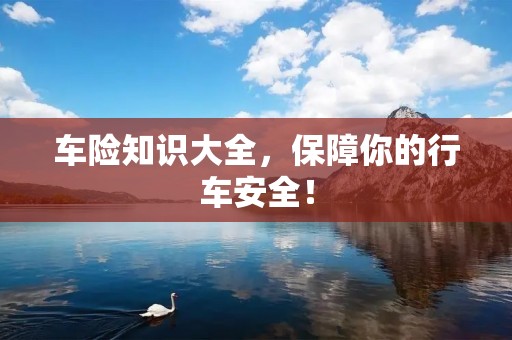车险知识大全，保障你的行车安全！