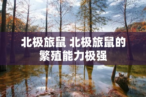 北极旅鼠 北极旅鼠的繁殖能力极强