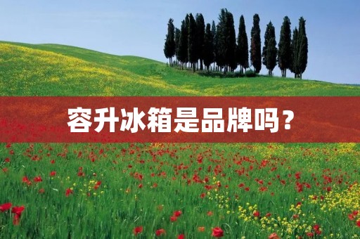 容升冰箱是品牌吗？