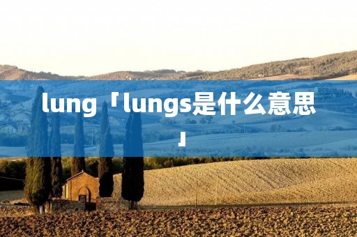 lung「lungs是什么意思」