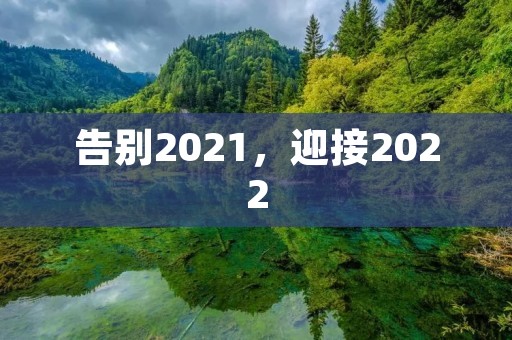 告别2021,迎接2022
